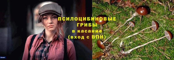 мет Кукмор