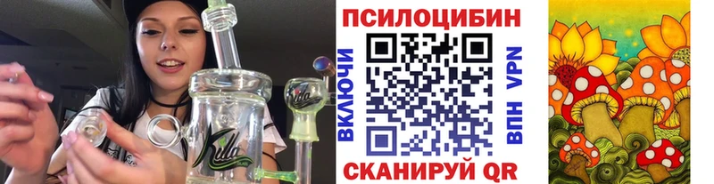Псилоцибиновые грибы прущие грибы Жигулёвск
