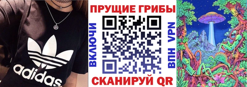 Галлюциногенные грибы Cubensis  Жигулёвск 